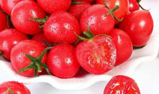 樱桃小番茄 樱桃小番茄